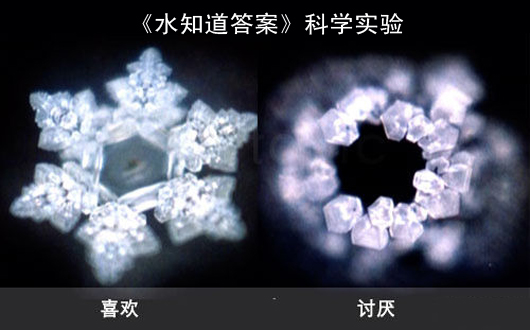水能听,水能看,水知道生命的答案!